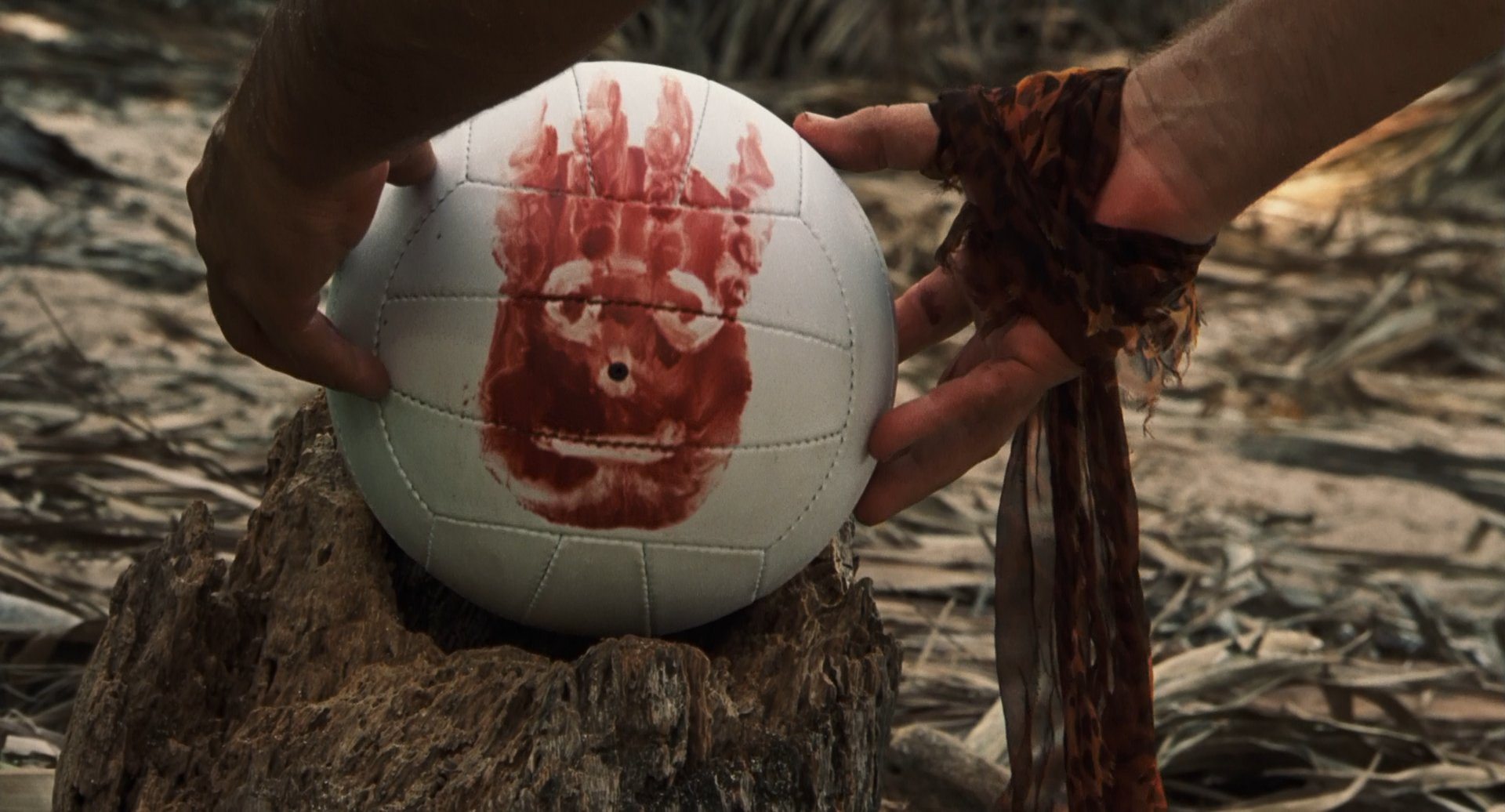 Wilson gif castaway