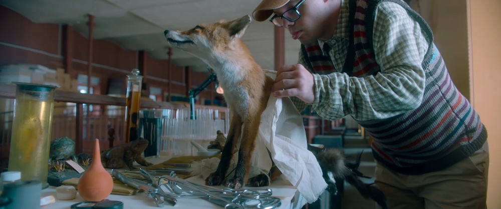 Сцена из фильма Правила Филиппа Сцена из фильма Правила Филиппа