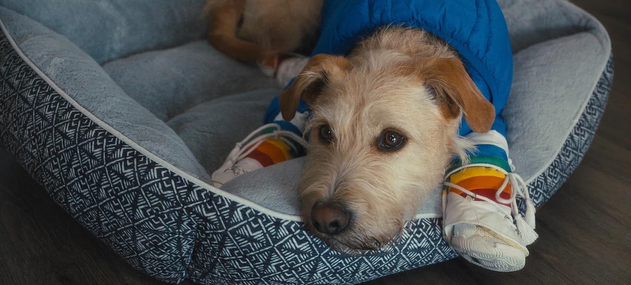 Кадр из фильма Мерв / Merv Кадр из фильма Мерв / Merv