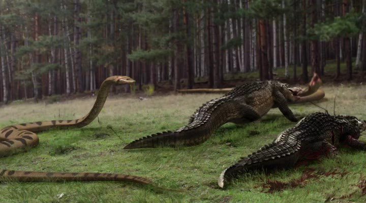 Сцена из фильма Озеро страха: Анаконда / Lake Placid vs. Anaconda Сцена из фильма Озеро страха: Анаконда / Lake Placid vs. Anaconda