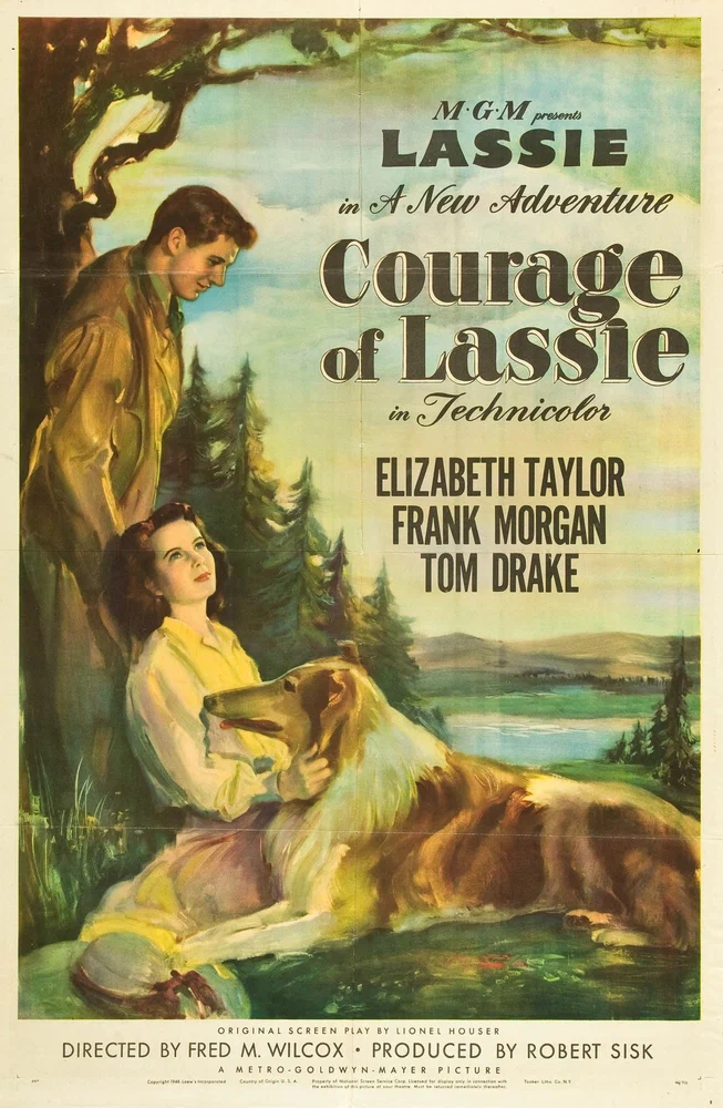 Постер к фильму Храбрость Лэсси / Courage of Lassie
