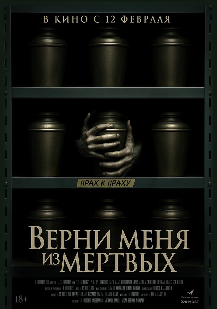 Постер к фильму Верни меня из мёртвых / The Grieving