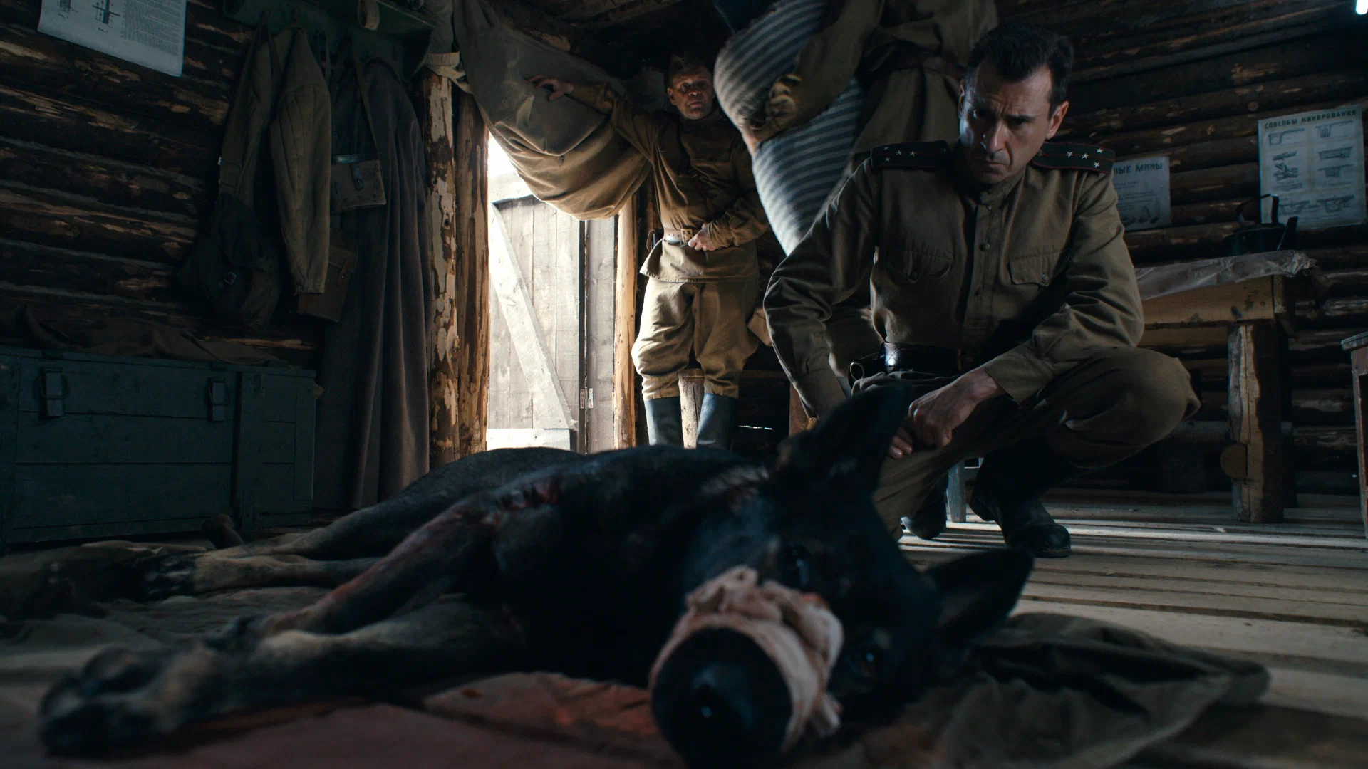 Сцена из фильма Солдат по кличке Рекс Сцена из фильма Солдат по кличке Рекс