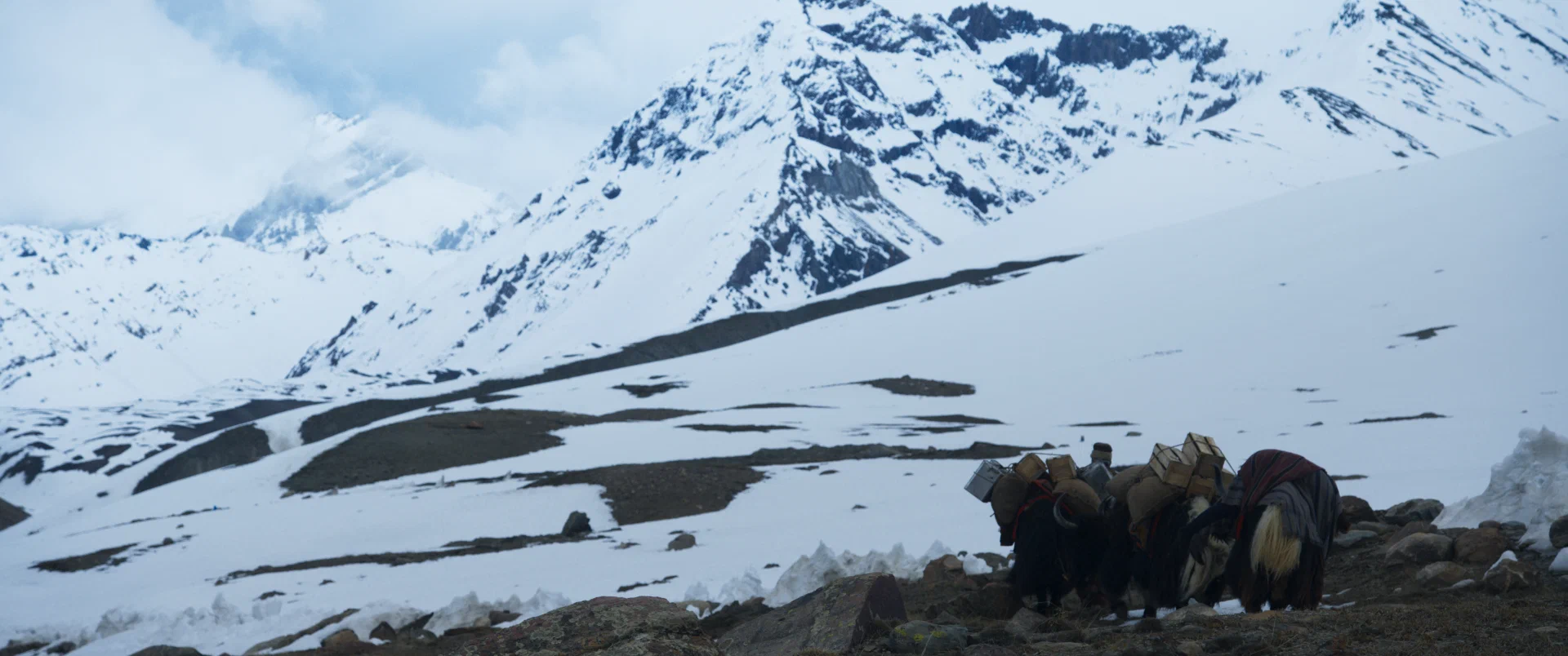 Кадр из фильма Долина теней / Valle de sombras Кадр из фильма Долина теней / Valle de sombras