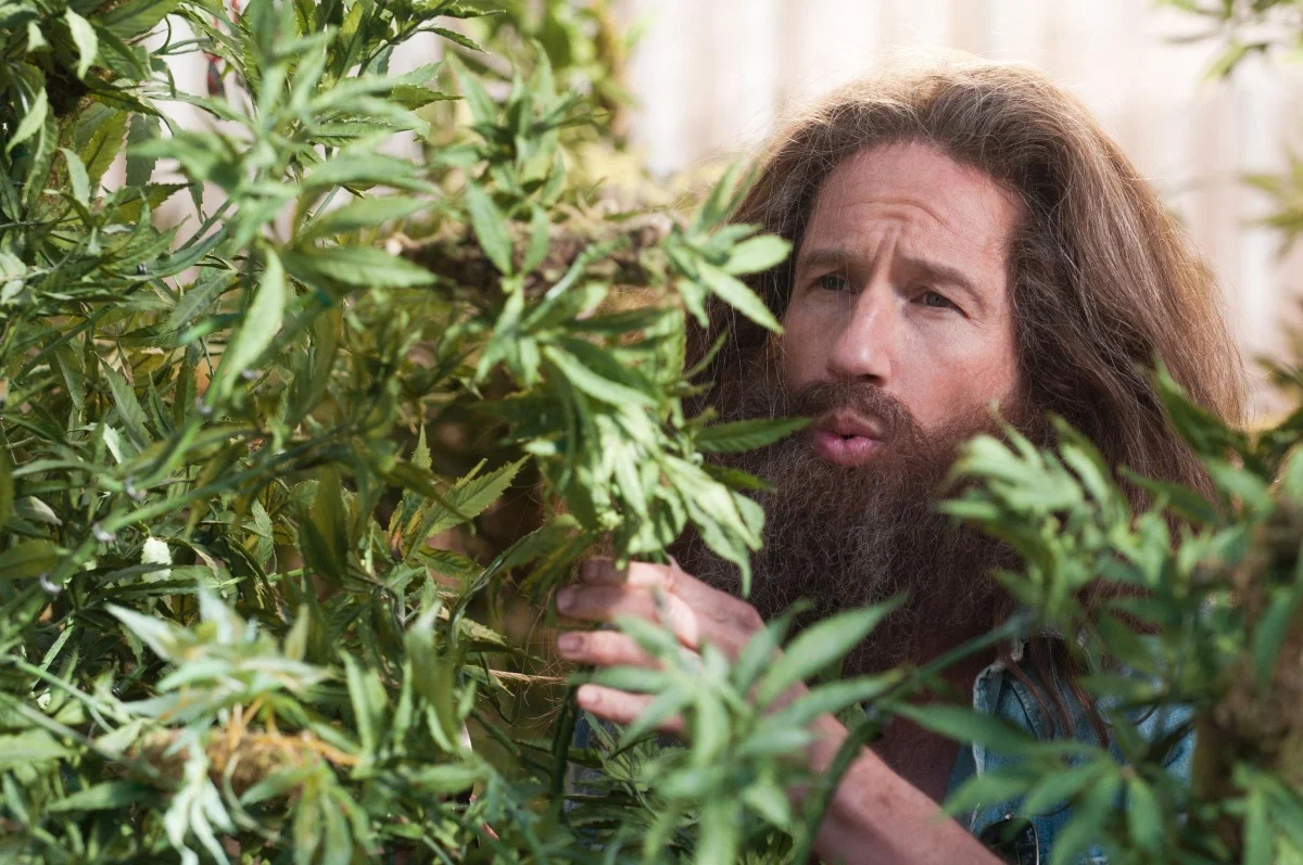 Кадр из фильма Козы / Goats Кадр из фильма Козы / Goats