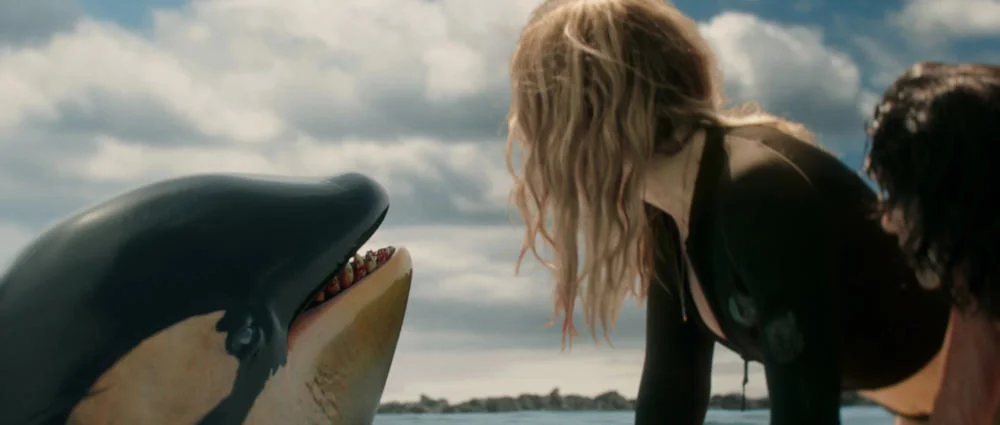 Кадр из фильма Кит-убийца / Killer Whale Кадр из фильма Кит-убийца / Killer Whale