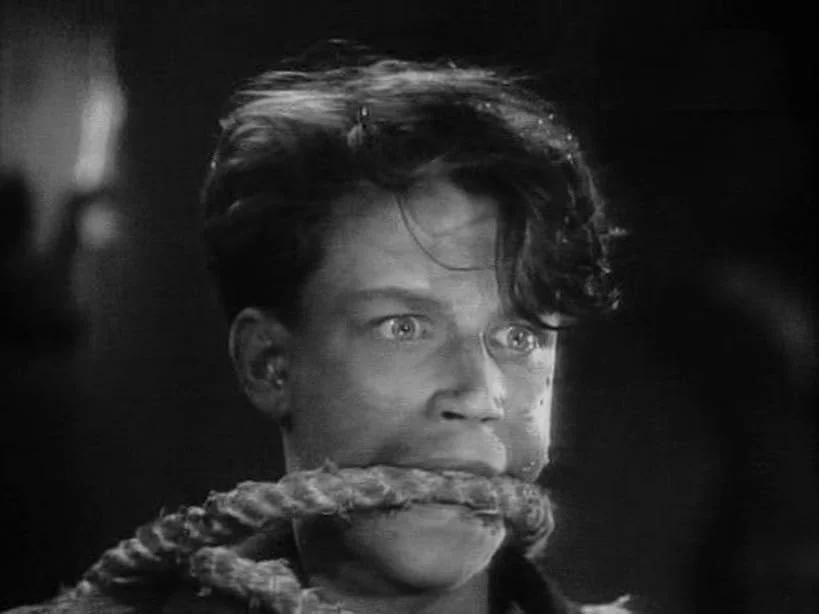 Кадр из фильма Пятнадцатилетний Капитан Кадр из фильма Пятнадцатилетний Капитан