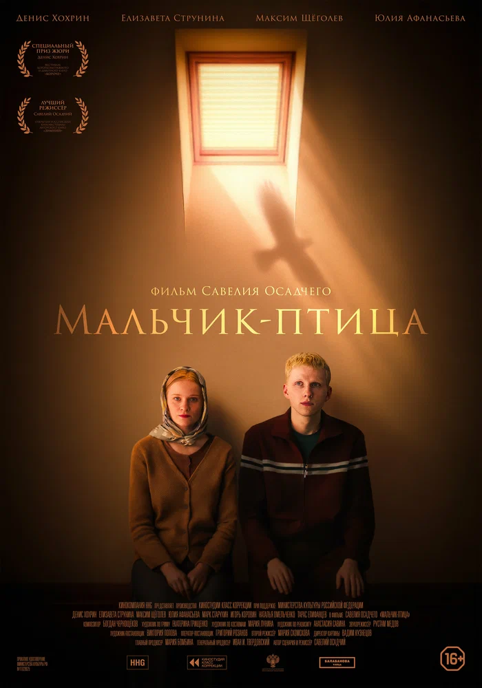 Постер к фильму Мальчик-птица