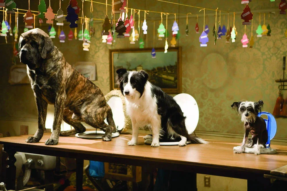 Кадр из фильма Отель для собак / Hotel for Dogs Кадр из фильма Отель для собак / Hotel for Dogs
