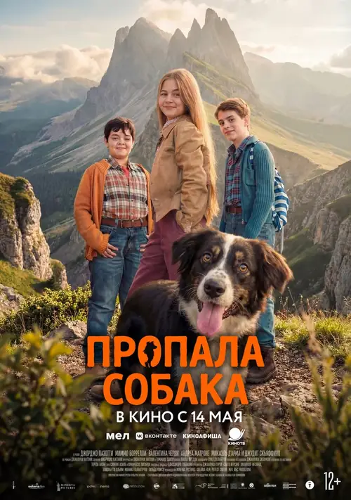 Постер к фильму Пропала собака / Io non ti lascio solo