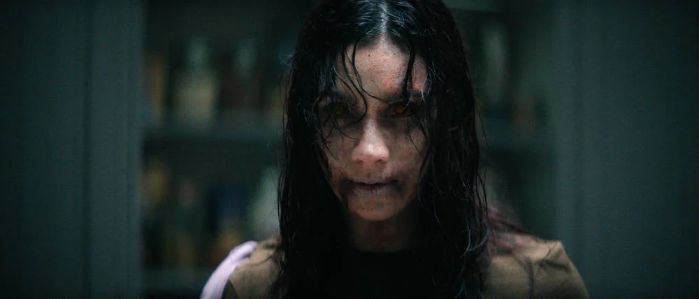 Кадр из фильма Зловещие мертвецы: Пекло / Evil Dead Burn Кадр из фильма Зловещие мертвецы: Пекло / Evil Dead Burn
