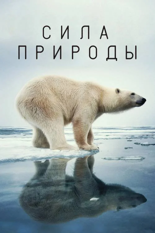 Постер к фильму Сила природы / Force of Nature