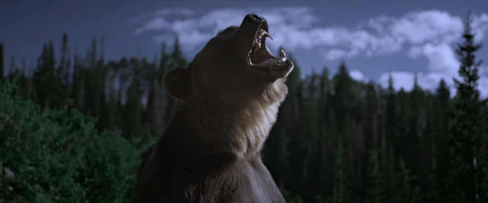 Кадр из фильма Ночь с гризли / Grizzly Night Кадр из фильма Ночь с гризли / Grizzly Night