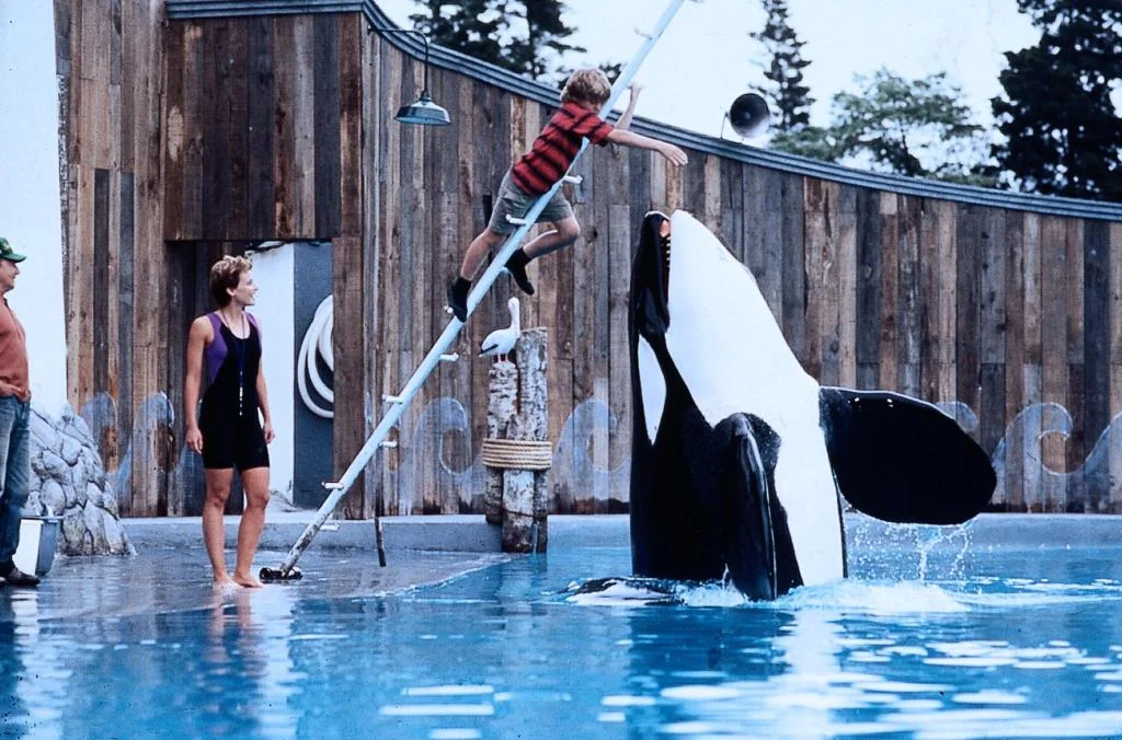 Кадр из фильма Освободите Вилли / Free Willy Кадр из фильма Освободите Вилли / Free Willy