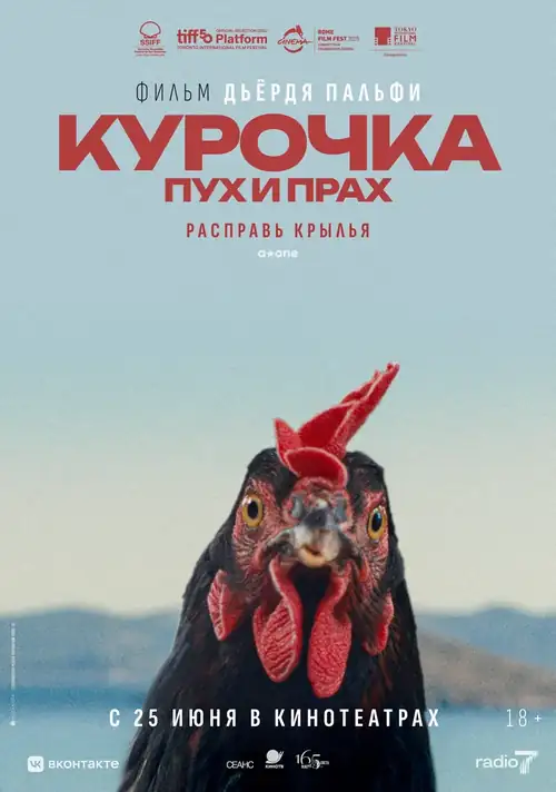 Постер к фильму Курочка. Пух и прах / Kota