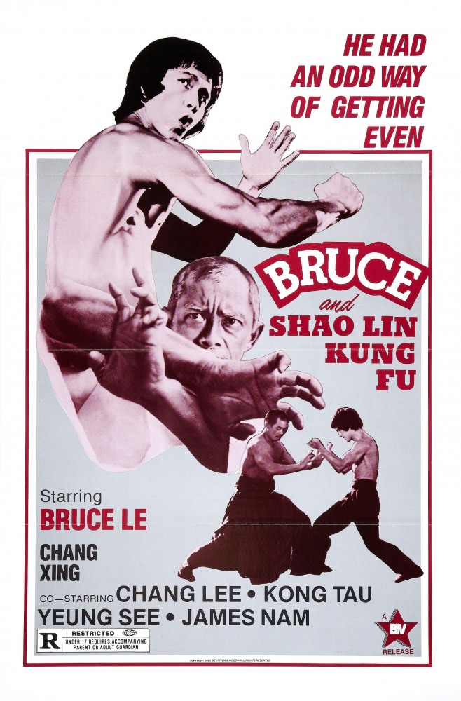 Постер к фильму Брюс и кунг-фу монастыря Шао-Линь / Da mo tie zhi gong