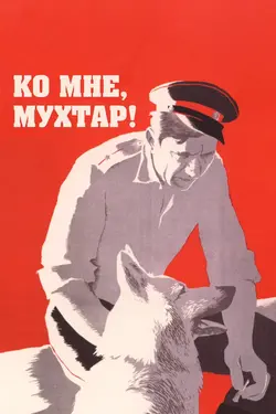 Ко мне, Мухтар (1965)