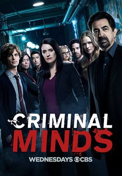 Мыслить как преступник / Criminal Minds (2005)